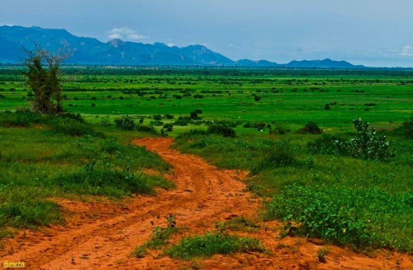 صورة تمثل مدينة أبو جبيهة في موقع الدليل العربي