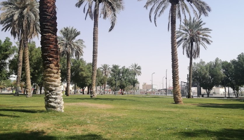 صورة تمثل مدينة الخرج في موقع الدليل العربي