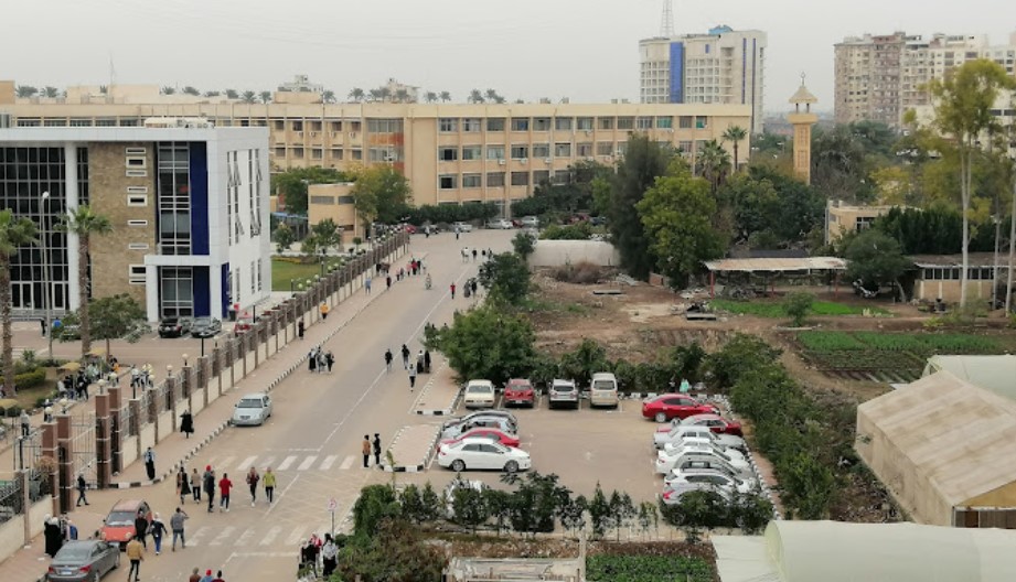 صورة تمثل مدينة المنصورة في موقع الدليل العربي