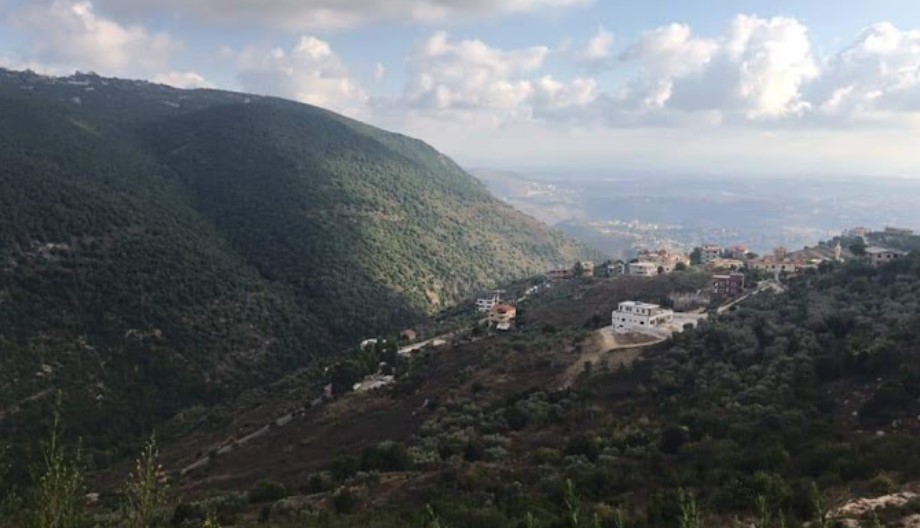 صورة تمثل مدينة النبطية في موقع الدليل العربي