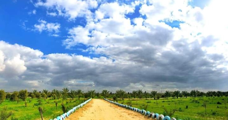 صورة تمثل مدينة بيت لاهيا في موقع الدليل العربي