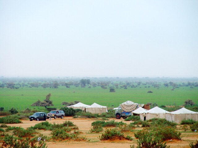 صورة تمثل مدينة حفر الباطن في موقع الدليل العربي