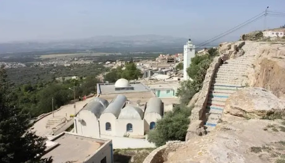 صورة تمثل مدينة سليانة في موقع الدليل العربي