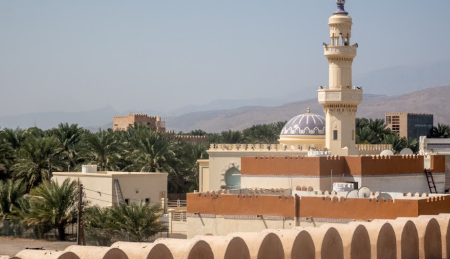 صورة تمثل مدينة صور في موقع الدليل العربي