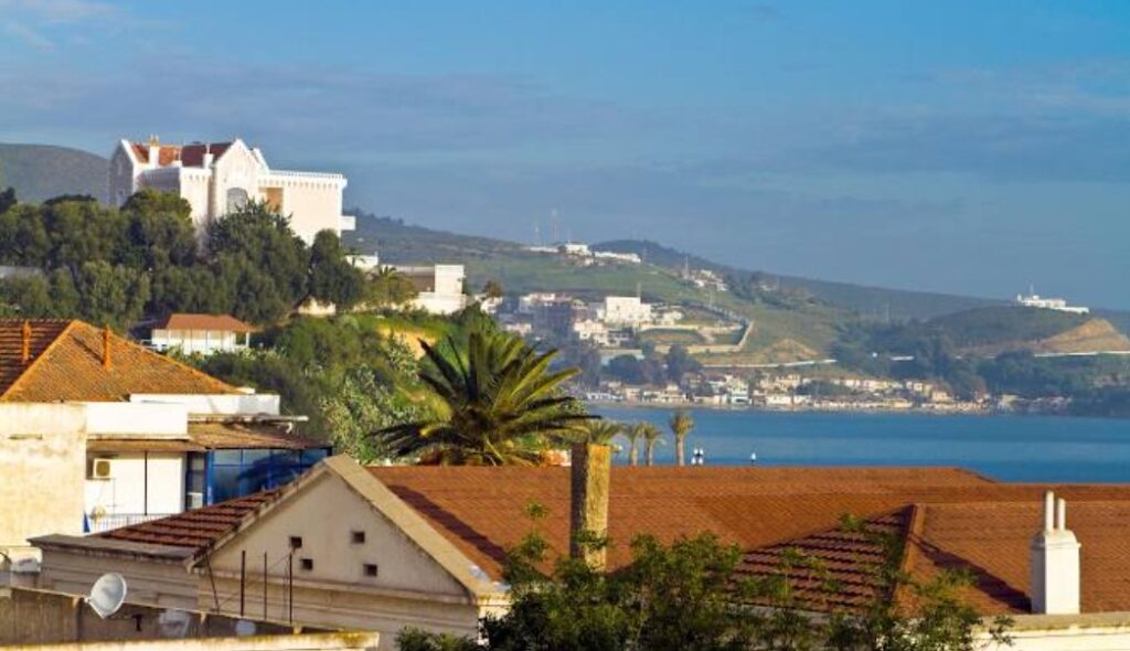 صورة تمثل مدينة عناية في موقع الدليل العربي