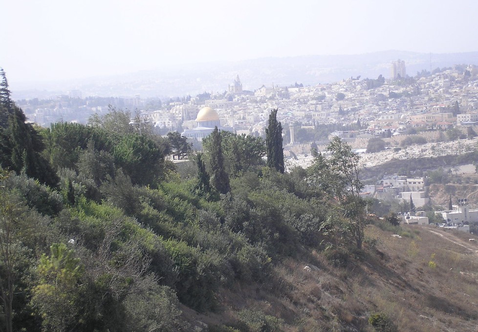 صورة تمثل فلسطين في موقع الدليل العربي