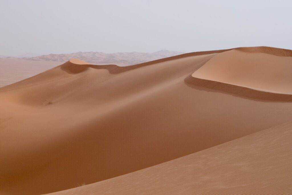 مقالة الصحراء الكبرى، أرض الموت أم المصدر القادم للقوة الاقتصادية؟ في موقع الدليل العربي