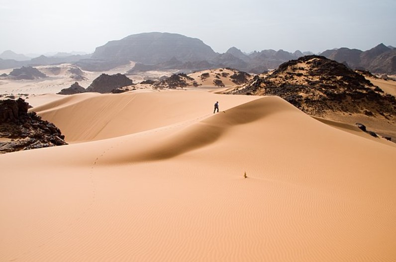 النفط والغاز، ثروات الصحراء الكبرى التي قد تغير مجرى الاقتصاد العالمي